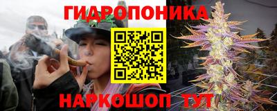 метадон Дубна