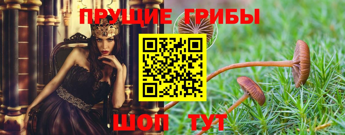 Галлюциногенные грибы прущие грибы Лыткарино