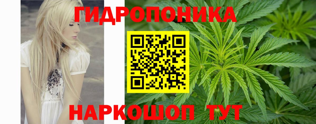 Бошки марихуана гибрид Лыткарино